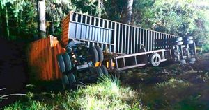 ¡SEMIRREMOLQUES CON DOS CONTENEDORES CAEN A BARRANCO EN LA CARRETERA XALAPA-PEROTE!