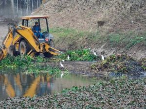 ¡LE PARAN EL CHISMOYO!