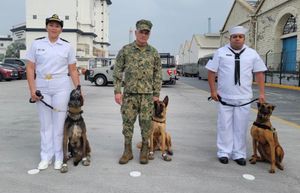 ¡JUBILAN A HÉROES CANINOS!