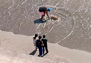 ¡APARECE OTRA TORTUGA MUERTA!