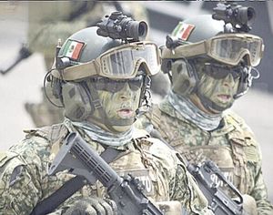 ¡DESMANTELAN CENTROS DE DROGA Y HUACHICOL!