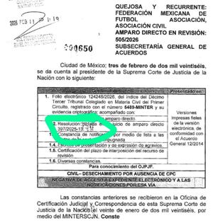 ¡FIDEL METE OTRO GOL! - CORTE TUNDE A LA FMF