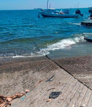 ¡LLEGA EL CRUDO! - AL MURO DE PESCADORES