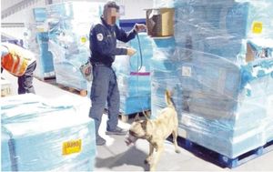 ¡ASEGURAN 1.4 MILLONES DE CIGARROS 'PIRATA' EN AICM!