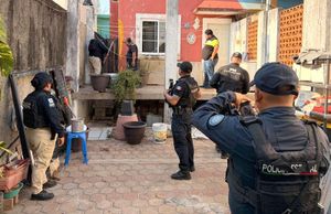 ¡RESCATAN OCHO PERRITOS!