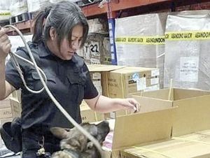 ¡ASEGURAN 22 MIL 800 VAPEADORES EN EL AICM!