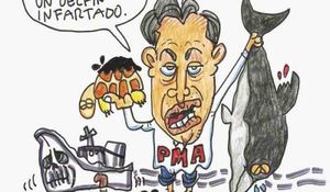 LOS CARTONES