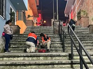 ¡CAE ABUELITA DE ESCALINATA Y CON LA DESPENSA!