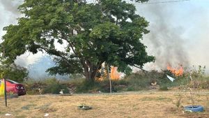 ¡SE LES QUEMA EL PASTIZAL EN GEO VILLAS DEL PUERTO!