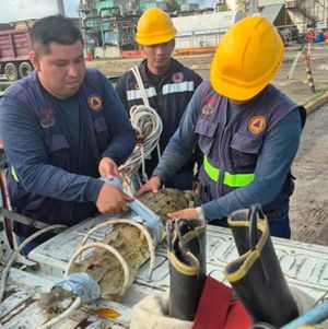 ¡CAPTURAN AL PRIMO DE GODZILLA EN POZA RICA!