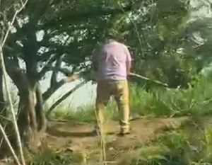 ¡PIDEN A CHOFERES DE ULÚA YA NO HAGAN PIPÍ EN EL MONTE!