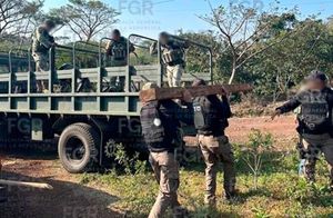 ¡ASEGURAN 34 TABLONES DE MADERA DE APIPI!