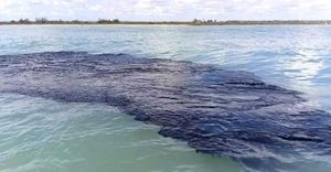 ¡LE PONDRÁN OJOS AL GOLFO DE MÉXICO! - PARA DETECTAR LOS DERRAMES