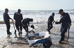 ¡VA LA UV! - AL OBSERVATORIO