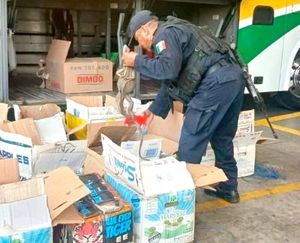 ¡RESCATAN EN OAXACA 192 IGUANAS TRAFICADAS DESDE VERACRUZ!