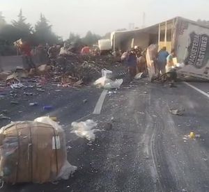 ¡VOLCÓ CAMIÓN DE CASTORES EN EL FRESNO!