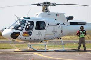 ¡LOS VENDERÁN! - CINCO MILLONES DE DÓLARES...