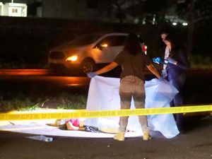 ¡ABUELITA CON CARRETILLA MURIÓ ARROLLADA POR CAFRE!