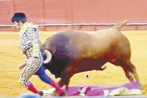 ¡SUFRE “MORANTE DE LA PUEBLA” CORNADA EN SEVILLA; ESTÁ GRAVE!