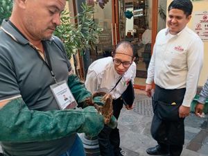 ¡RESCATAN TAPACAMINOS! -