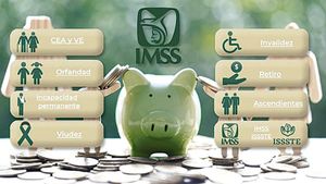 ¡AFORE SÍ PUEDE SER EMBARGADA EN MÉXICO: ESTE ES EL ÚNICO CASO PERMITIDO POR LEY!