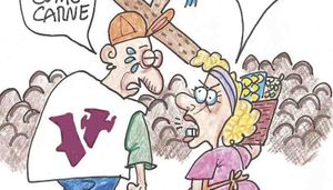 LOS CARTONES