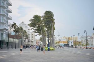 ¡ACTIVAN ALERTA GRIS EN VERACRUZ! - FRENTE FRÍO 48
