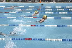 EN SUS MARCAS | OLIMPIADA NACIONAL DE NATACIÓN 2026 - Por considerarla de gran interés e importancia, he pedido al Maestro Enrique Alonso Ramírez, Entrenador de Natación y Dirigente Deportivo me permita compartir esta reflexión acerca de la…