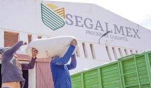 ¡SEGALMEX ACUMULA CARGOS Y DESFALCOS! - Y APARECE OTRO DESVIO AHORA POR 13 MDP