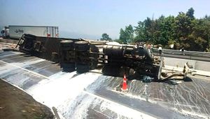 ¡ROBAN 30 TONELADAS DE LECHE! - TRÁILER VOLCÓ EN LA AUTOPISTA XALAPA-PEROTE Y RAPIÑEROS SE LLEVARON LA CARGA
