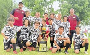 ¡SON DE ORO!
