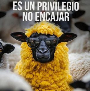 VIVIENDO CON SENTIDO | MISION ESPECIAL - La idea de que viniste al mundo con una “misión especial” es, probablemente, la forma más sofisticada de tortura psicológica que hemos inventado. Nos pasamos décadas buscando un propósito trascendental bajo…