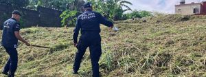 ¡VIOLENTO ASALTO A MATRIMONIO EN PASO DEL TORO!