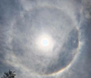 ¡SE FUE HASTA 46 GRADOS! - PA’ASADERO