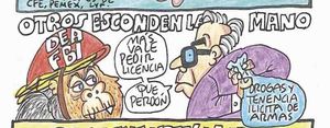 LOS CARTONES