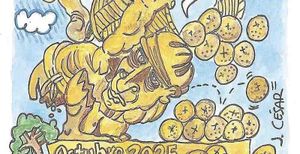 LOS CARTONES