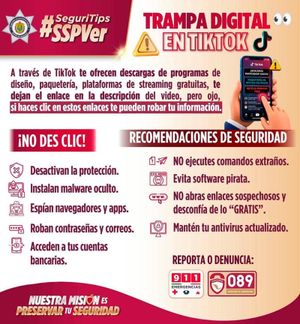 ¡AGUAS EN TIKTOK! - *Alertan descargas gratis y te roban información personal