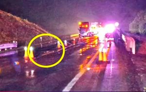 ¡PEATÓN ARROLLADO POR CAFRE EN LA AUTOPISTA!