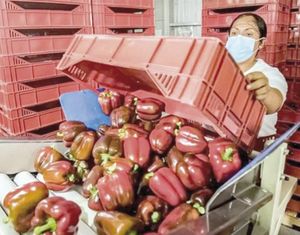 ¡'GOLEAN' A MÉXICO POR IMPORTACIÓN DE ALIMENTOS!