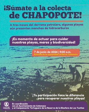 ¡HAY CHAPO EN PLAYAS DE CATEMACO! - *Convocan a limpiar las playas