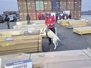 ¡DECOMISAN 108 TONELADAS DE DROGA EN PUERTOS DE CHILE! - ESCONDIDOS EN MADERA PARA EXPORTAR