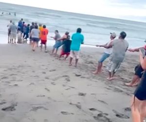 ¡OLA GIGANTE VOLTEÓ LANCHA CON CINCO PESCADORES!