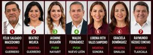 ¡REVISA PVEM LA LISTA DE LOS ASPIRANTES PARA GUBERNATURAS