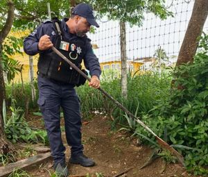 ¡ENCUENTRAN A ANCIANITA MUERTA JUNTO CON SUS PERROS Y PAJARITOS!