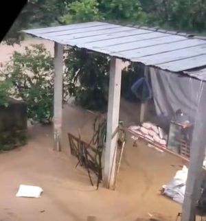¡SE LOS LLEVA EL RÍO! - GLUB...