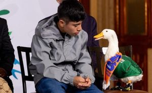 ¡EL PATO MERLÍN A LA MAÑANERA CON SHEINBAUM EN PLENO MUNDIAL!