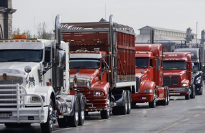 ¡LE DICE EU 'GOODBYE' A 20 MIL CONDUCTORES MEXICANOS!