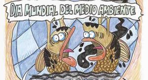 LOS CARTONES
