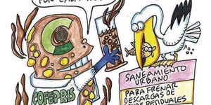 LOS CARTONES