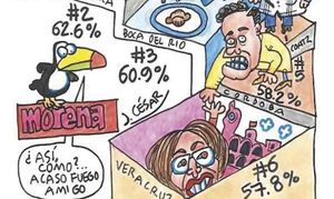 LOS CARTONES